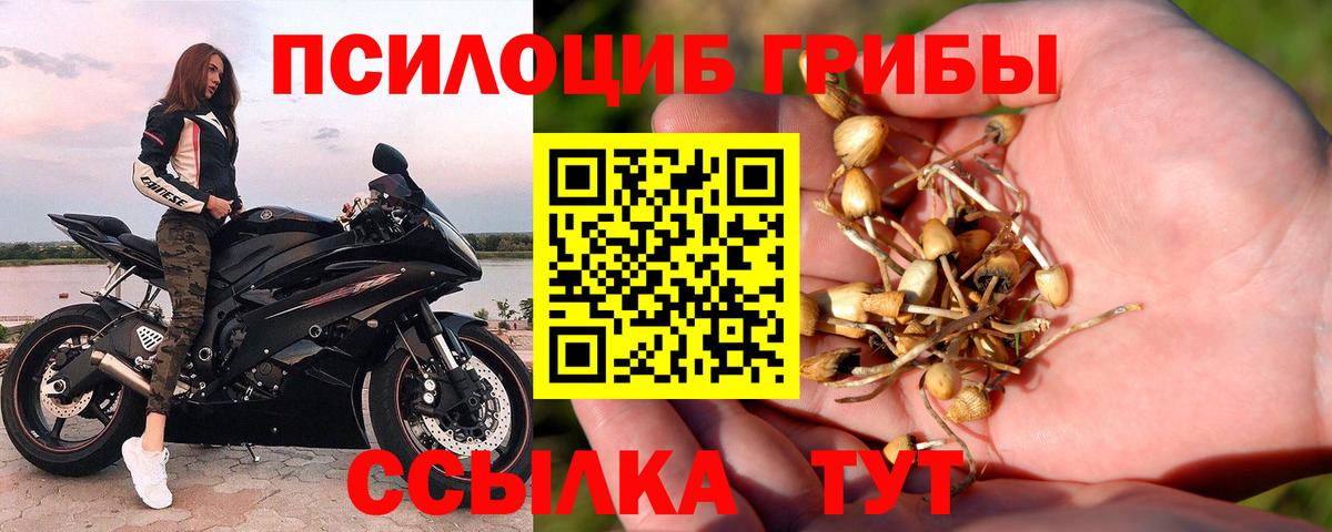 Псилоцибиновые грибы Magic Shrooms  Вход с VPN  Екатеринбург 
